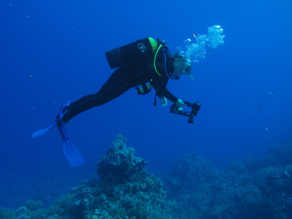 Plongeur avec caméra dans les récifs de St John's, en mer Rouge